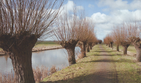120110