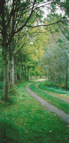 120113
