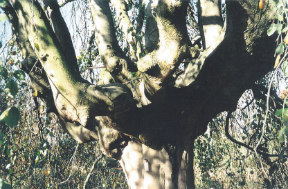 120126
