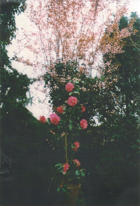 120127