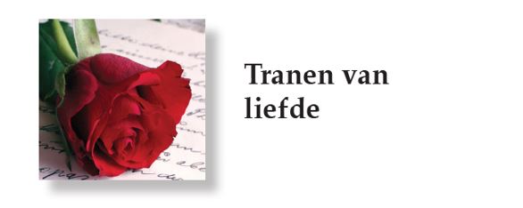 gedicht